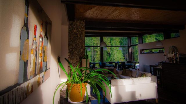 Living, colț cu tablou